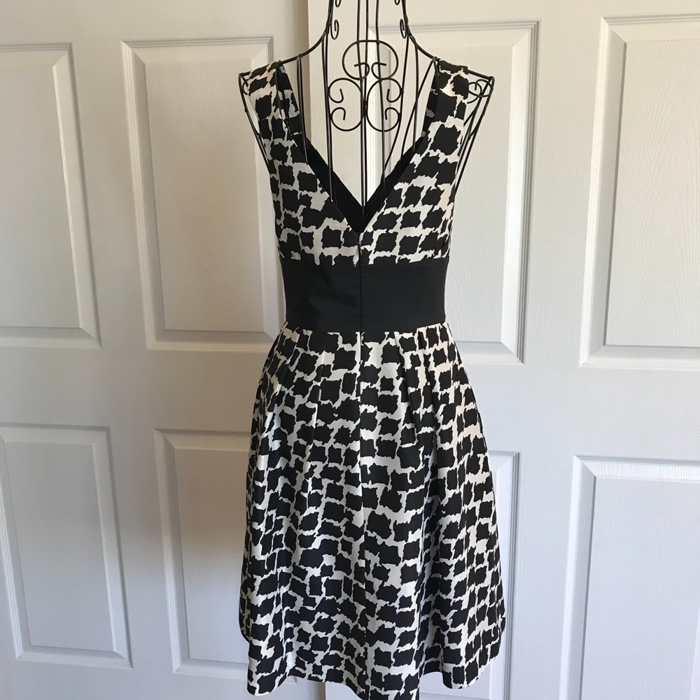 Classic Black and White Dress